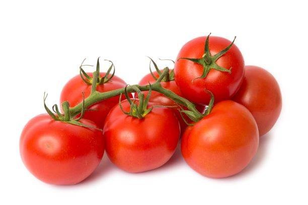 עגבניה אשכולות מובחרת (מחיר לק"ג)