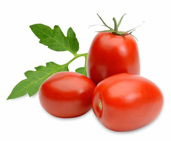 עגבניה תמר מובחרת ( מחיר לק"ג )